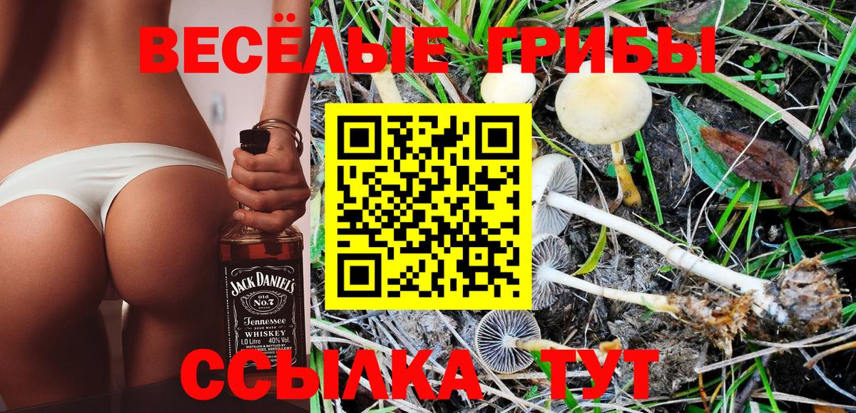 Псилоцибиновые грибы прущие грибы Ростов Великий