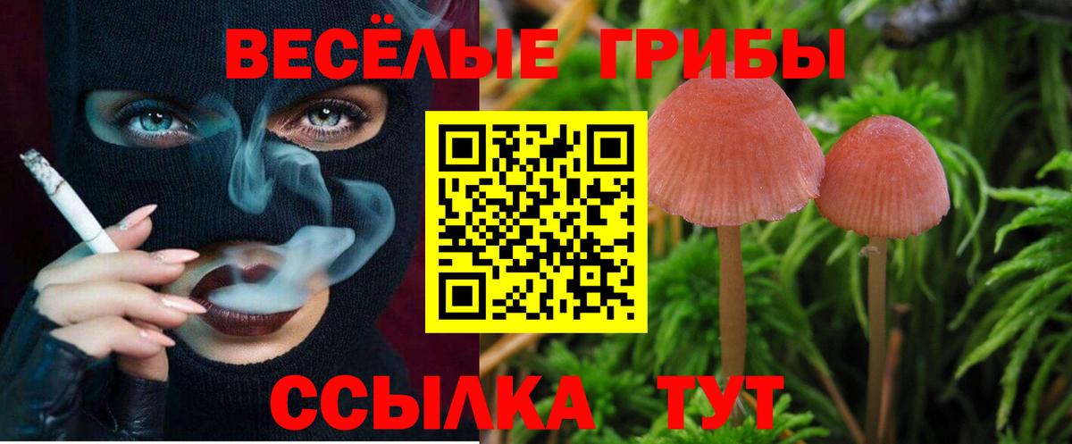 Ростов Великий  Псилоцибиновые грибы Cubensis  Вход с VPN  Псилоцибиновые грибы Psilocybine cubensis 